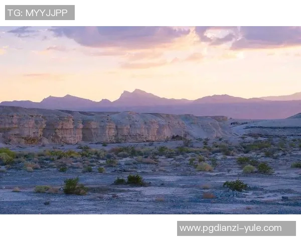 pg电子网-官网-探索与发现，pg电子网的新世界之旅 官网之旅记-pg电子网-官网